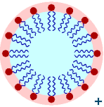 A Lipid micelle