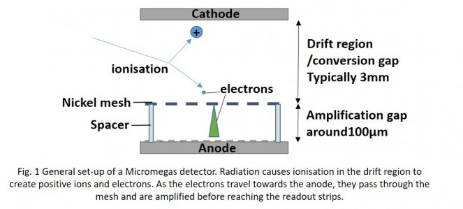 Figure 1 Figure 1