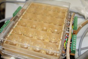 The prototype module with 24 crystallisation wells. The prototype module with 24 crystallisation wells.