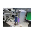 chamber and microscope chamber and microscope