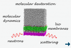 Neutrons for Membrane Biophysics School announced