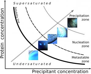 Phase diagram