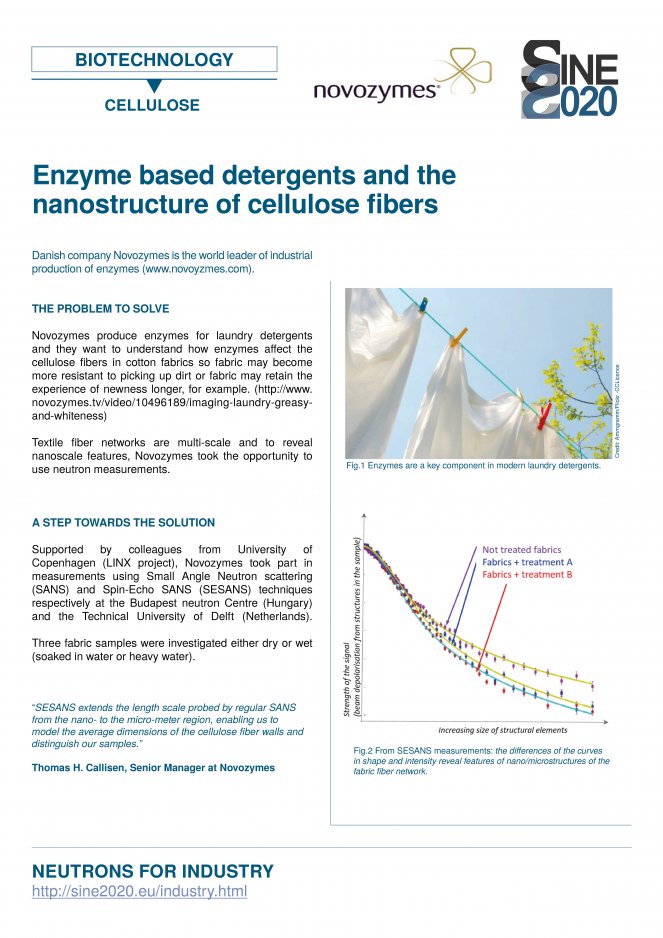 Novozymes Case Study