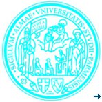 CLOSED Post-doc position funded by SINE2020 offered at the University of Parma
