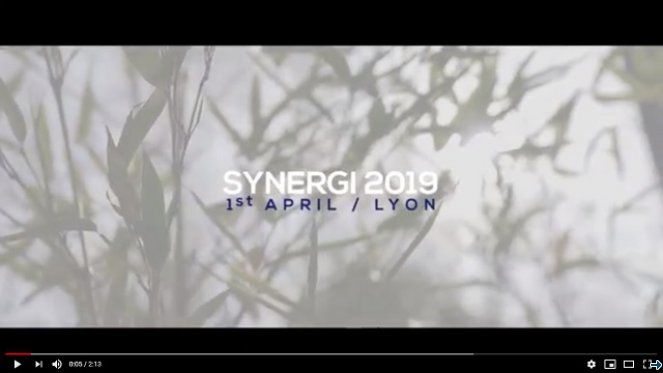 SYNERGI2019 video picture